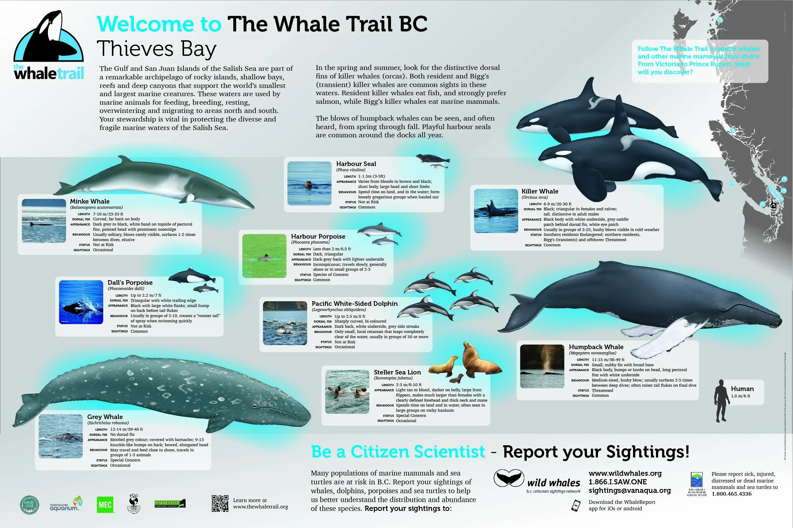 For more than 3 years. For more than 3 years. For more than 3 years. For more than 3 years. Надпись more more.