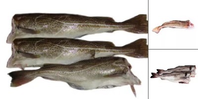 пикша с головой фото