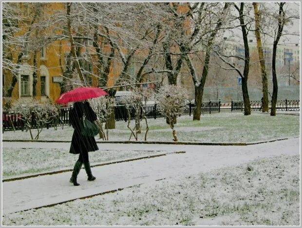 Эх март. Зонт зимой. Снег зонт люди-. Под зонтом в снегопад. Зонтик девушка снег.