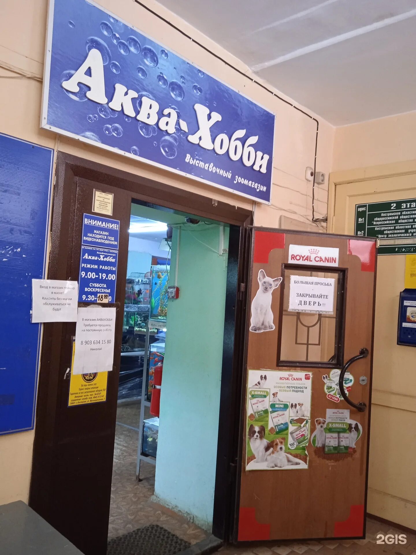 Аква хобби сыктывкар. Аквахобби в сыктывкаре. аква хобби сыктывкар каталог товаров.