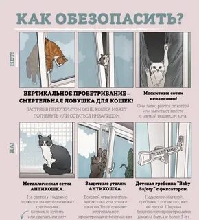 Защита вертикального проветривания для кошек