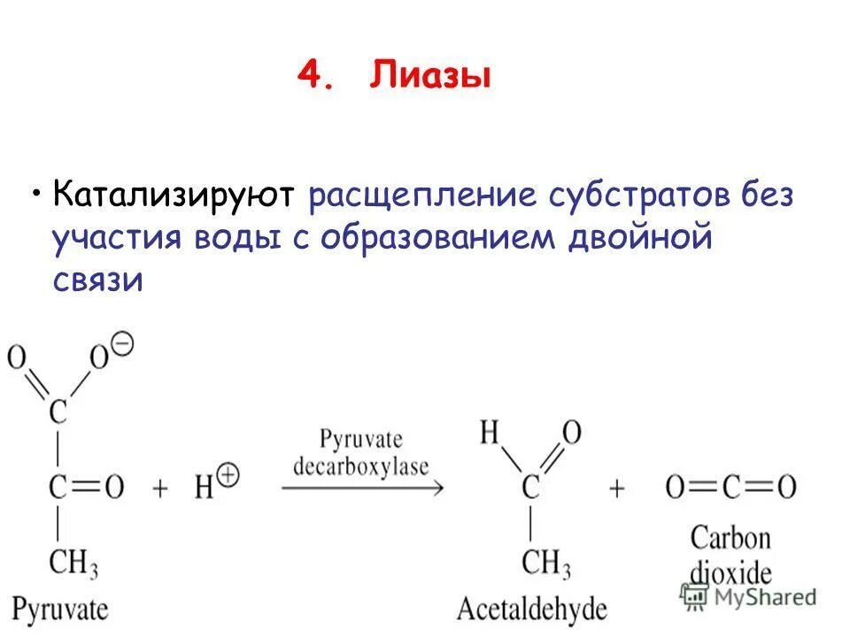 Схема взаимодействия фермент субстратного комплекса. Формирование фермент-субстратного комплекса. Расщепление субстратов. Расщепление субстратов. Образование фермент субстратного комплекса.