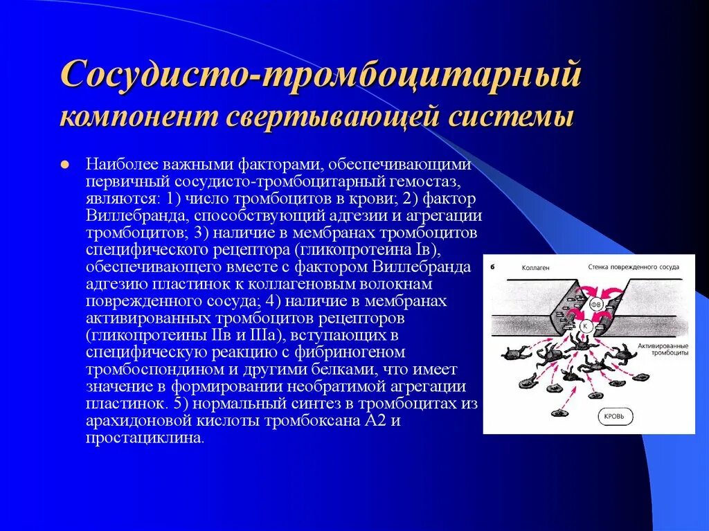 Технология обеспечивающая одновременную работу со звуком. Фактор Виллебранда сосудисто тромбоцитарный гемостаз. Фактор Виллебранда агрегация тромбоциты. Тромбоцитарный компонент гемостаза. Компоненты свертывающей системы.