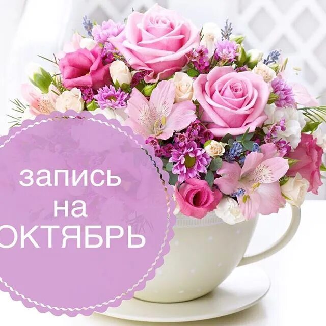 Открыта запись на сентябрь. Запись на октябрь. запись на сентябрь открыта. запись на октябрь открыта. запись на октябрь открыта фото.