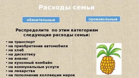 Что является расходами семьи
