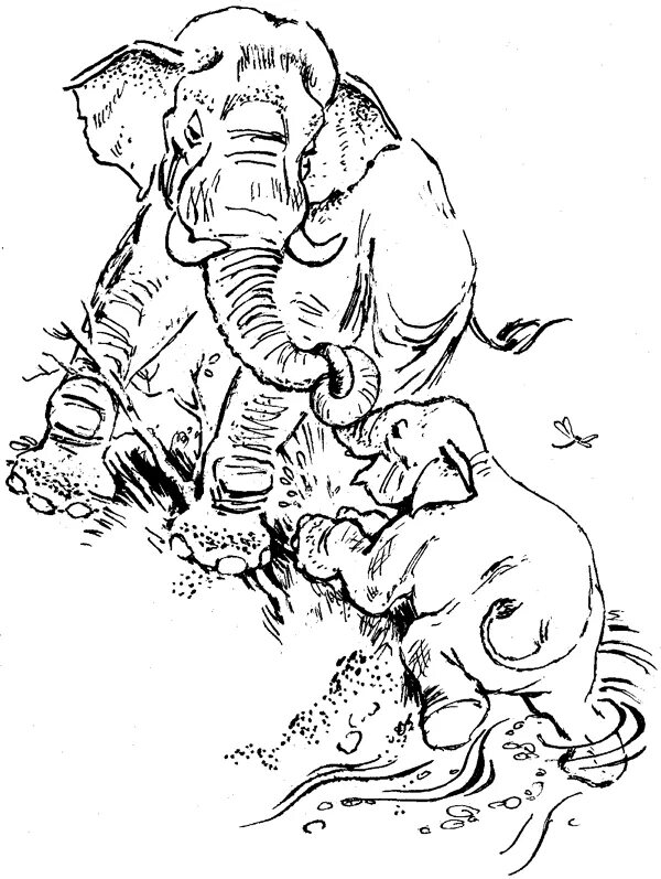 Житков про слона иллюстрации. Читательский дневник про слона
