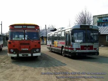 Автобус торжок тверь на сегодня