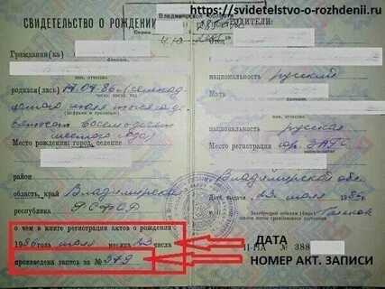 Номер свидетельства о рождении римские цифры