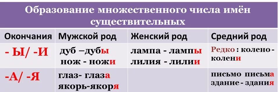 Мн число имен существительных русский язык. Множественное число в русском языке правило. Правила множественного числа в русском языке. Правила множественного числа существительных в русском языке.