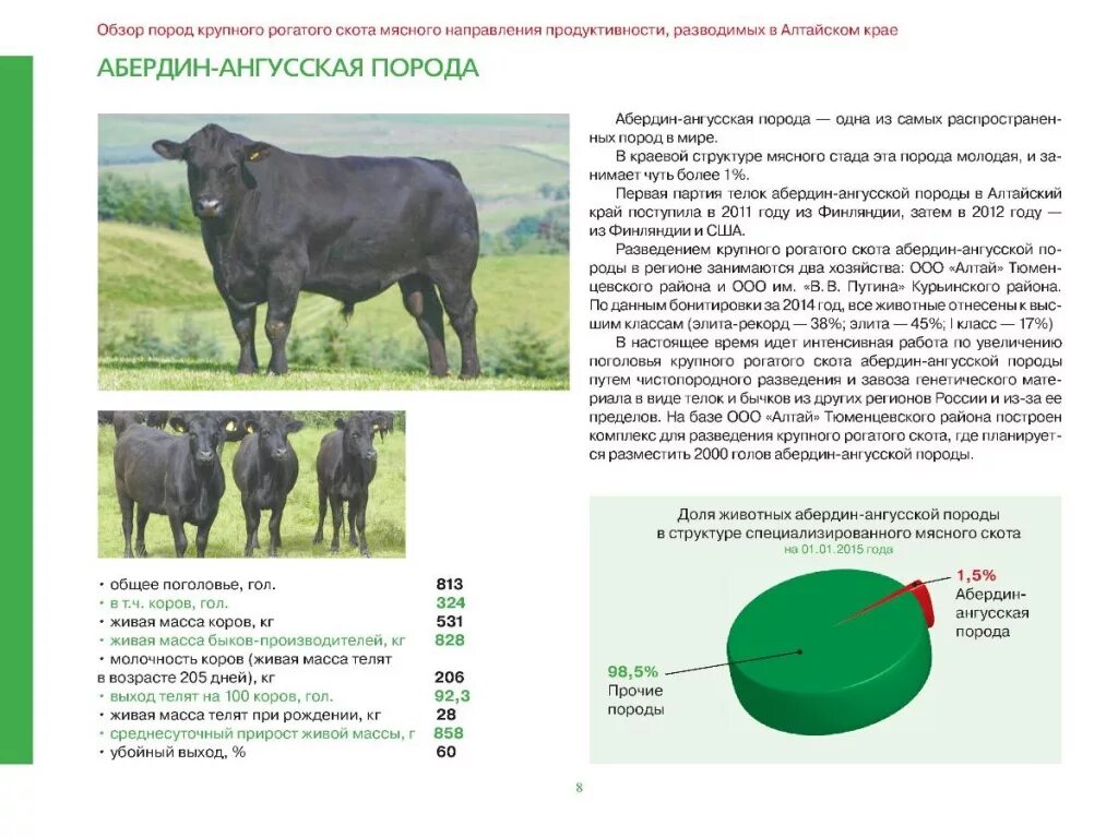 Крупный рогатый скот кто относится