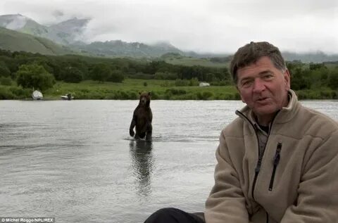 Медведи камчатка ловят рыбу