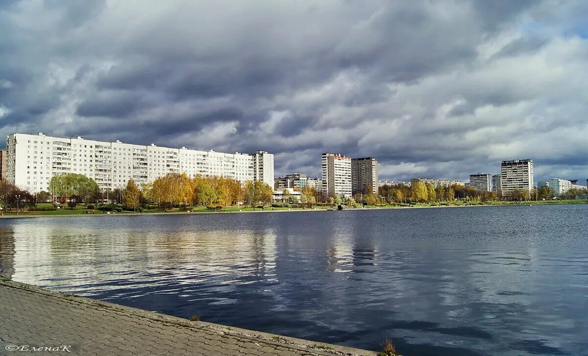 Москва медвежьи озера. Медвежьи озера Щелковский район. Медвежьи озёра Московская. Медвежьи озера озеро озера Щелковский район. Медвежьи озёра Московская область Щелковский район.