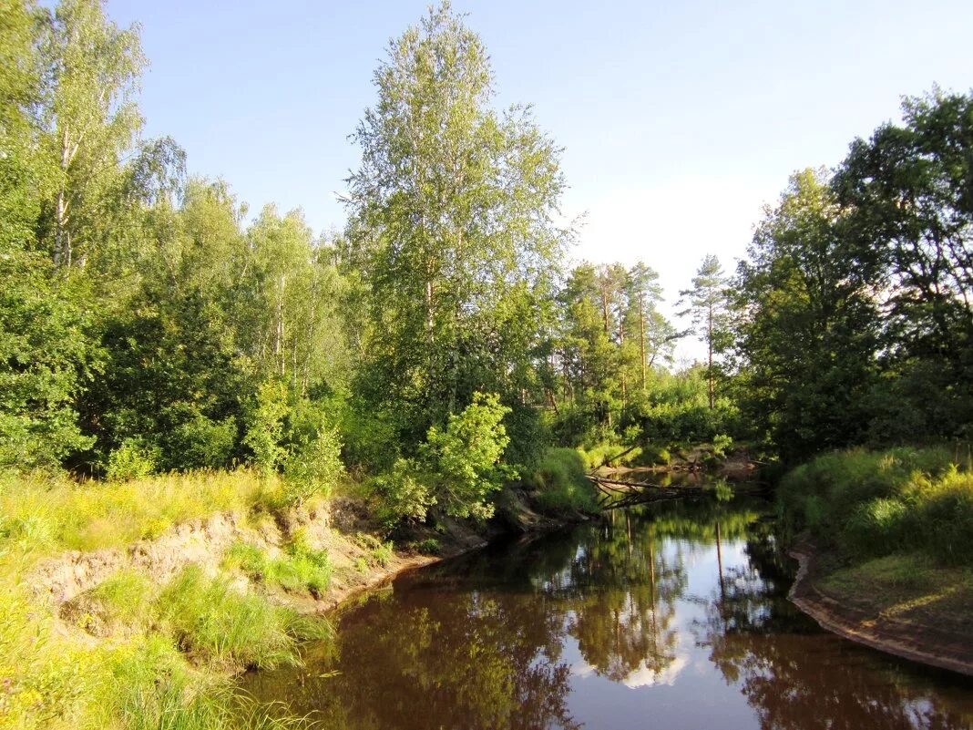 железнодорожный мост через реку чапаевку. река бужу. река бужа владимирская область. река бужа тасино. исток реки бужи.