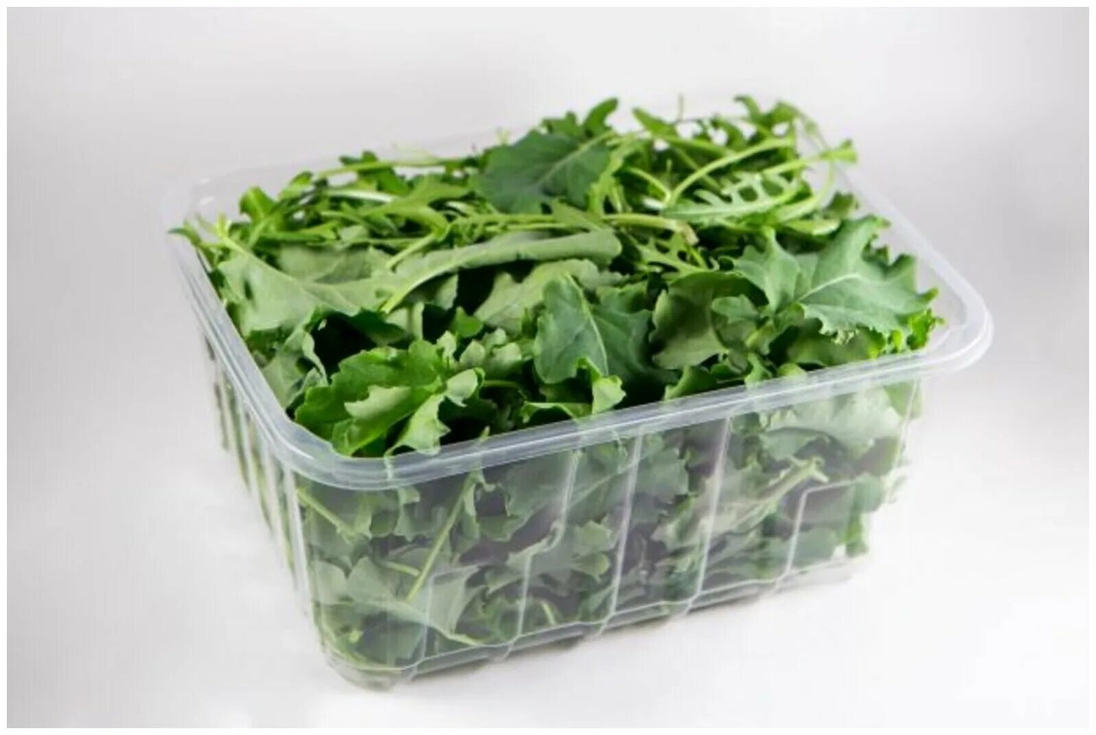 терра верде салат. микс руккола радичио. зелень тк толмачевский салат руккола срезка коррекс 75г. индау (руккола) кореянка. мангольд микс руккола корн.