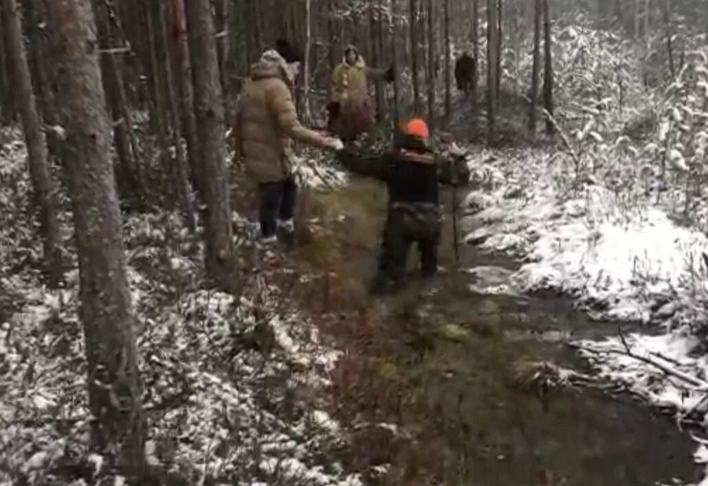 Нашли в лесу спящего. Останки людей, пропавших в лесу.