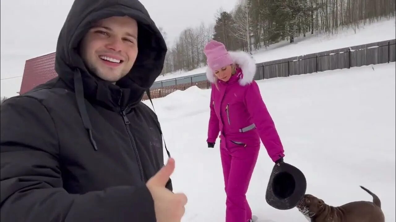 Альфабулс. Альфабулс. Альфабулс. Alfabullskennel кто такой. Альфабулс.