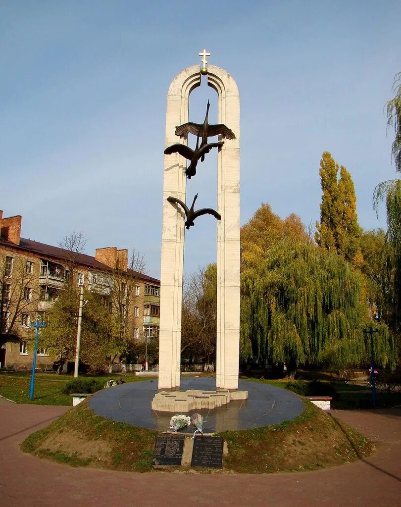 василёк донской (centaurea tanaitica klok. васильки полевые цветы брейтово рыбинский. васильков без. город васильков украина киевская область. васильков город.