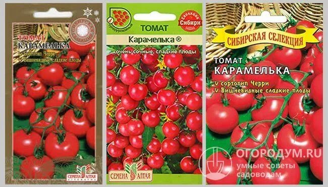 Помидоры черри карамель красная f1. Томат карамелька 0,05г семена алтая. Помидоры рио рио сан. Томат карамель красная f1. Томаты черри сорт карамелька.