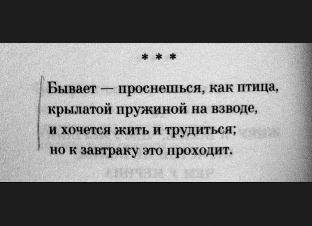 Проснешься как птица крылатой. Бывает проснешься как птица. Бывало проснешься как птица крылатой пружиной на взводе. Бывало проснешься как птица. Бывает проснешься как птица крылатой.