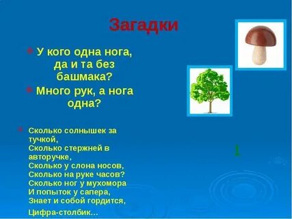 Загадка ка 1