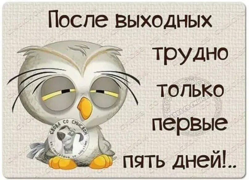 После выходных трудно первые пять дней. После выходных трудно только первые. После выходных. Понедельник после выходных. Первый выходной картинки