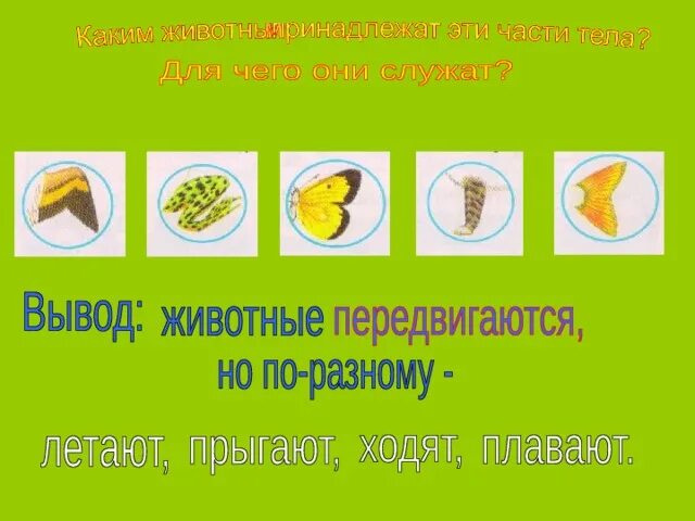 Окружающий мир первый класс как живут животные. Как живут животные 1 класс окружающий мир. как живут животные презентация. тема урока как живут животные. как живут животные 1 класс презентация.