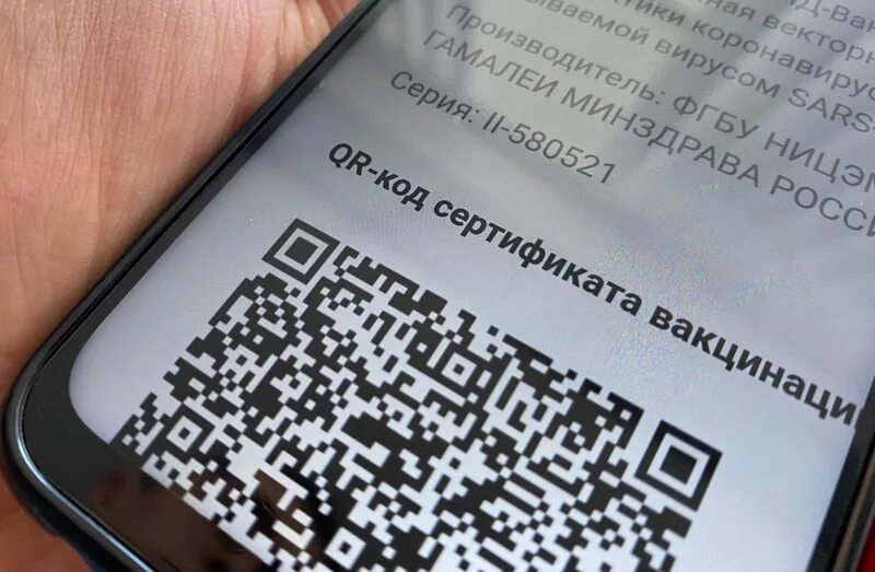 Qr код пособие. Qr код в тц. qr код коронавирус. qr код коронавирус фото. qr код в транспорте.