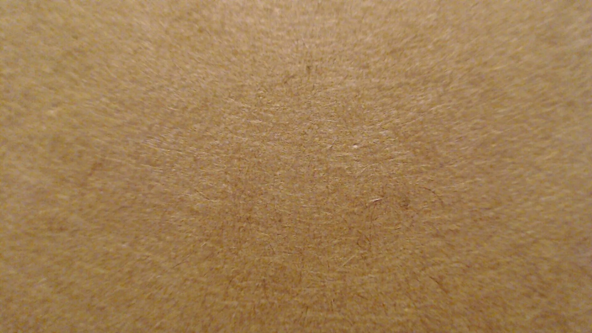 Текстура ткани. Crackelure skin texture. Текстура кожи. Кожзам oregon союз м. Tekstura салон.