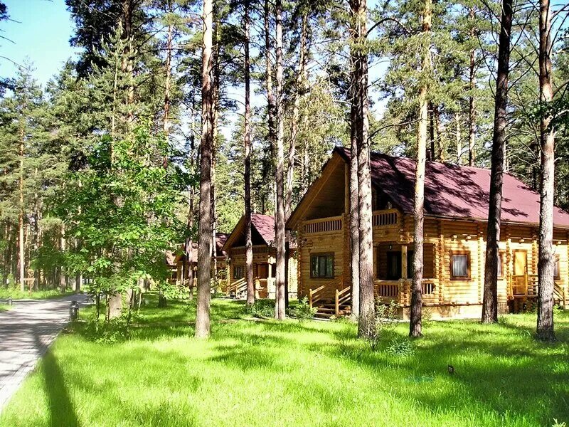 велес владимир владимирская область. велесов лес тула. велесов лес база отдыха тульская область. велесов лес тула. велесов камень веледниково.