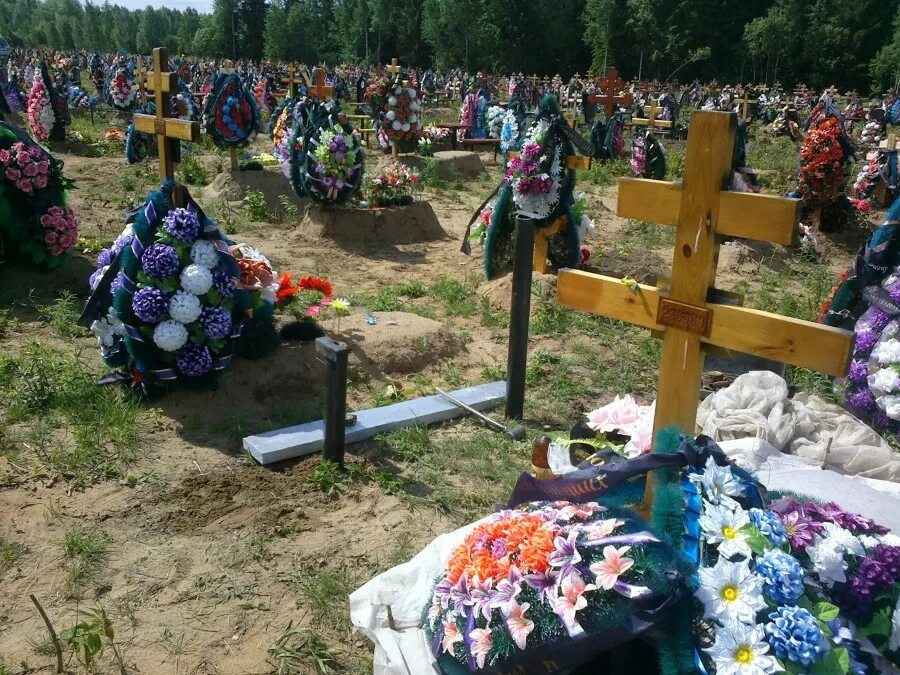 северное кладбище г. кладбища перми. егошихинское кладбище пермь. кладбища перми. северное кладбище 45 квартал пермь.