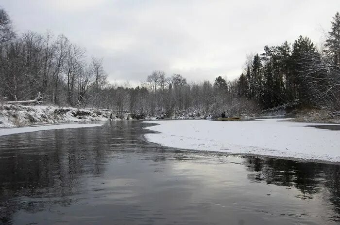 Река пижма 2021. Сиреневый сад зимой фото. Сугроб в полный рост бот сад. Пижма зимой. Пижма река в шахунье.
