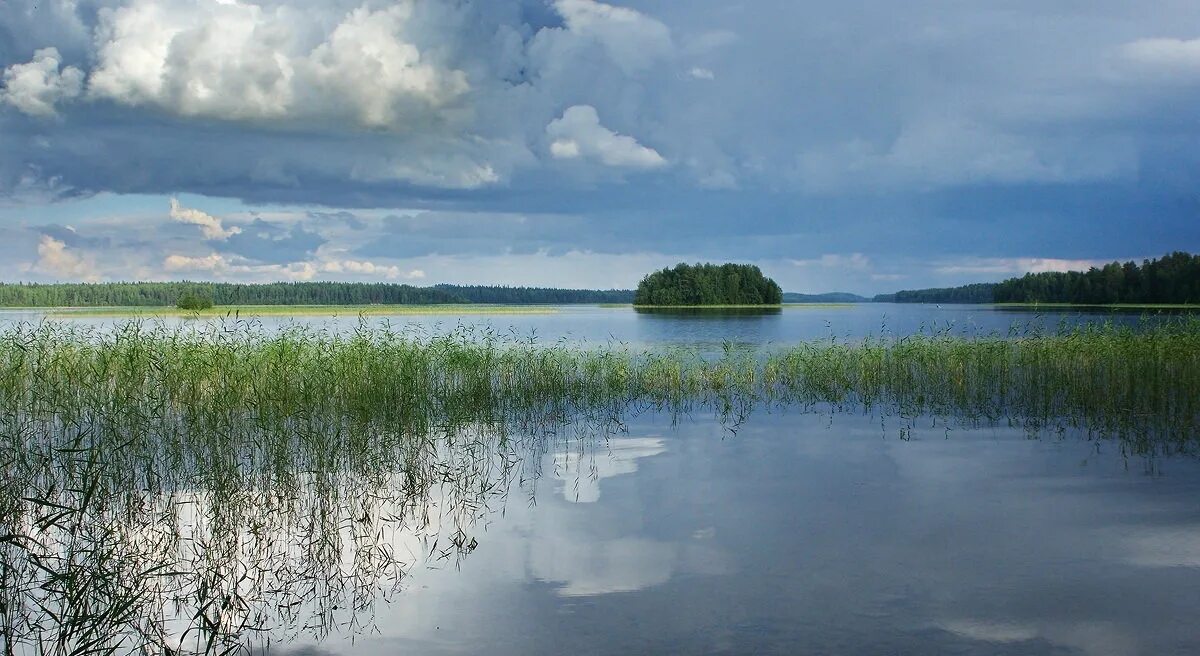 Предложение озеро блестело. Охтанъярви озеро. Озеро Мальвиайнен. Карелия охтаяр озеро Охтанъярви. Лоймоланъярви.