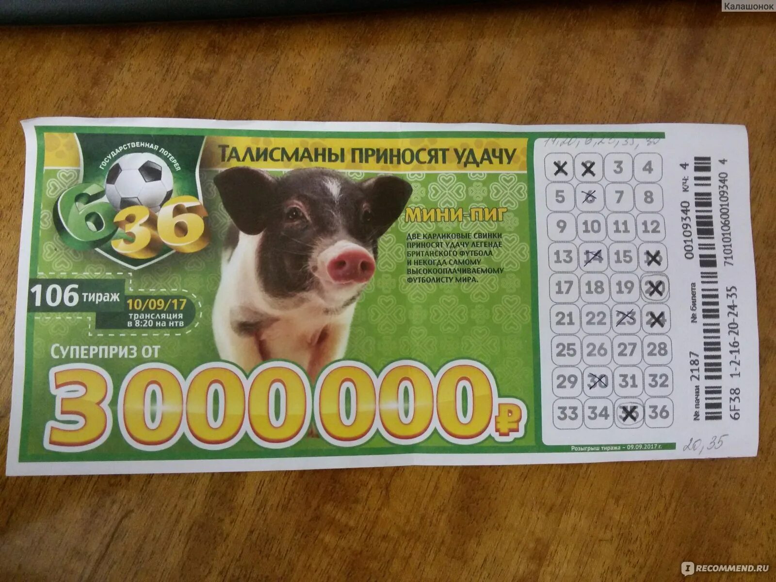Лотерея 6 1. 6 из 36. лотерея 6 из 36. футбольная лотерея 6 из 36. лотерейный билет 6 из 36.