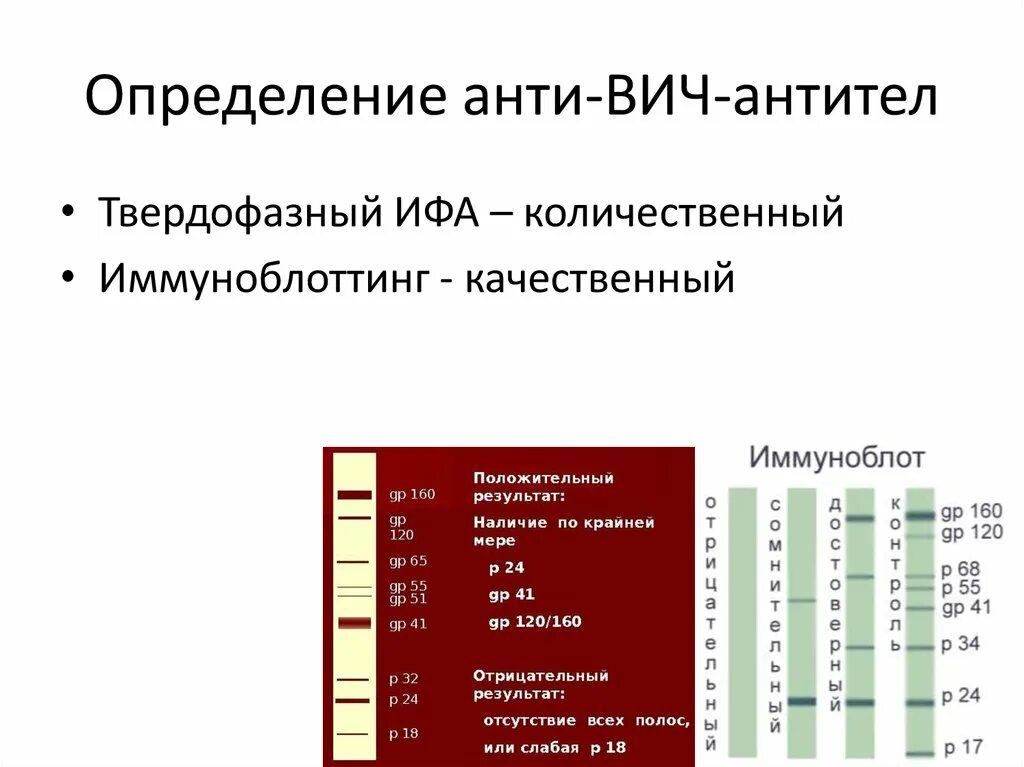 Ат вич 1 2. Антитела к ВИЧ. Антитела при ВИЧ. Количество антител к ВИЧ. Анализ крови на антитела к вирусу иммунодефицита человека.