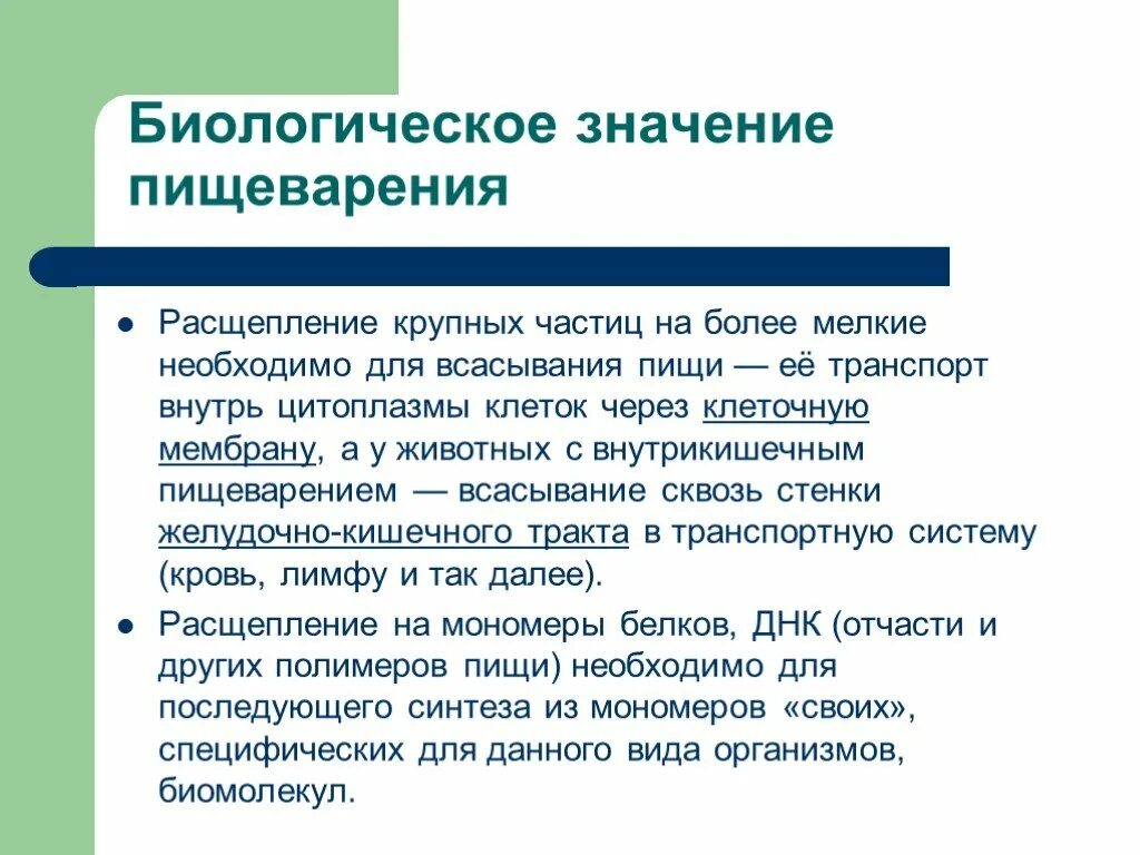 В чем заключается значение процесса роста человека. Биологическое значение переваривания. Биологическое значение переваривания белков. Значение пищеварения. Значение процесса пищеварения.