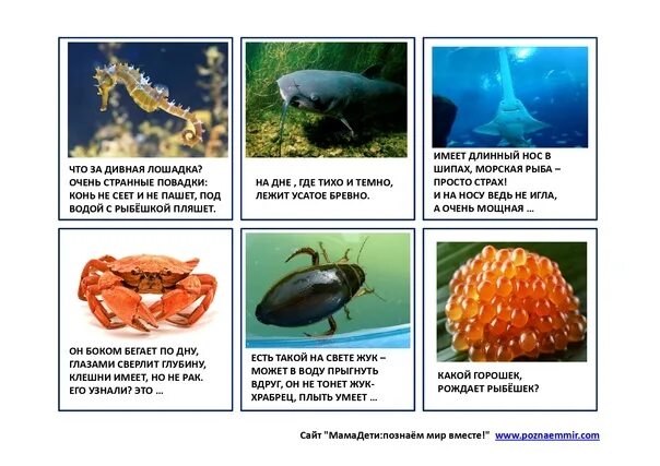 Загадки про подводный мир для детей. Загадки про морских жителей для детей. Загадка для малышей об морских обитателях. Загадки про морских обитателей для детей. Загадки об морских обитаьелях.