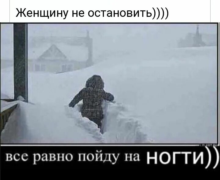 первый снег. открытки с первым снегом. поздняя осень. первый снег. первый снег.