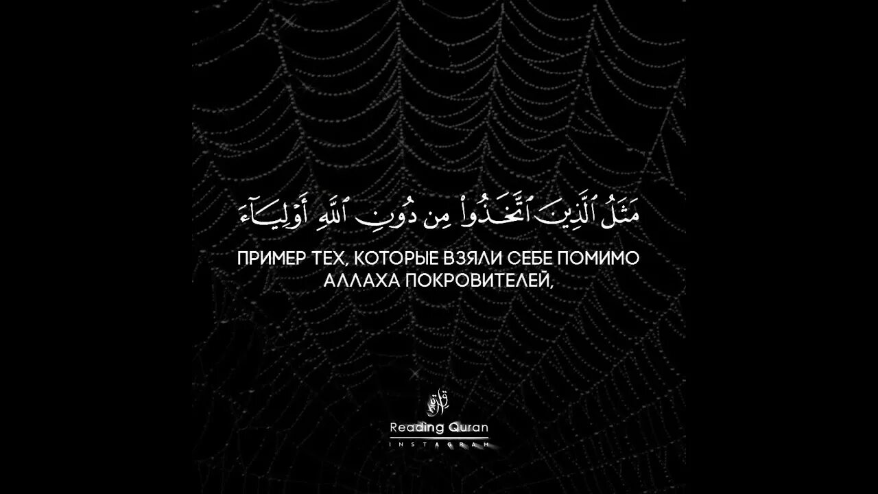 Паук в коране. Пауки сура аль. Сура 29 паук. Аят паук. Сура паук.