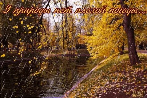 Доброе утро осень гифки природа