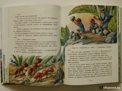 Краткое содержание необыкновенные приключения карика и вали