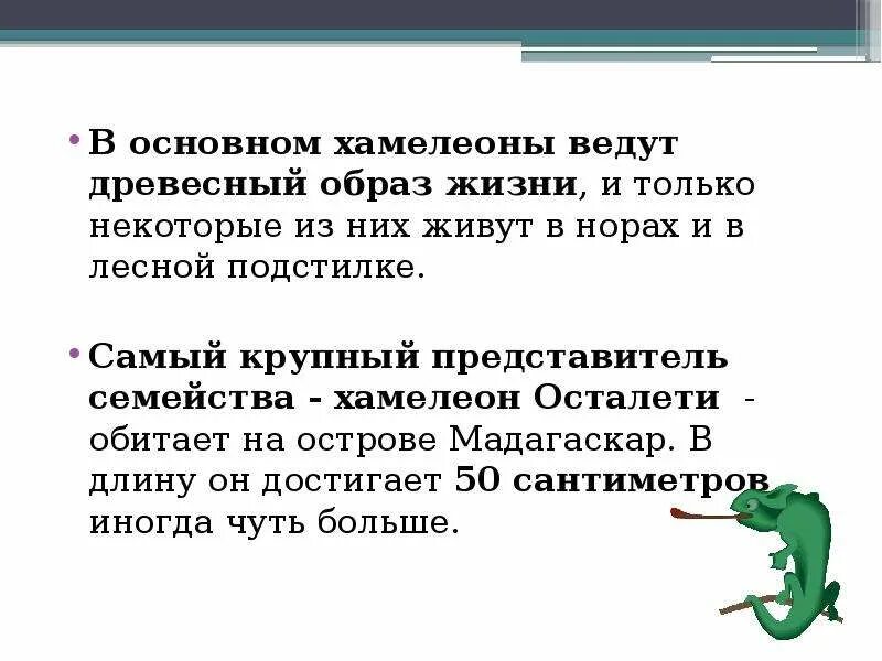 Тест по хамелеону 7 класс. Хамелеон ведет древесный образ жизни?. Сообщение о хамелеоне. Хамелеон сообщение 7 класс. Хамелеон доклад 1 класс.