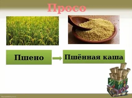 Каша 2 класс