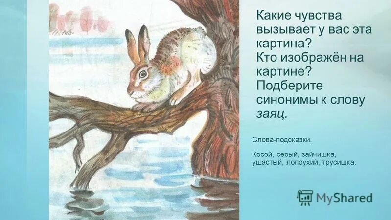 Предложение про зайца. Синонимы к слову заяц. Предложение к слову заяц. Предложение со словом заяц. Предложения на слово зайцев