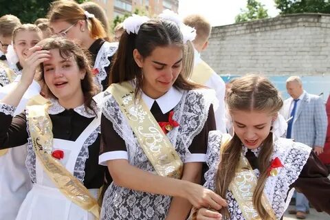 Школа 52 курск