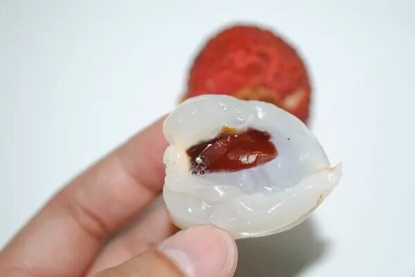 Личи это цитрус. Как чистить личи. Личи мадагаскарские. Рамбутан и личи. У личи ядовитые косточки.