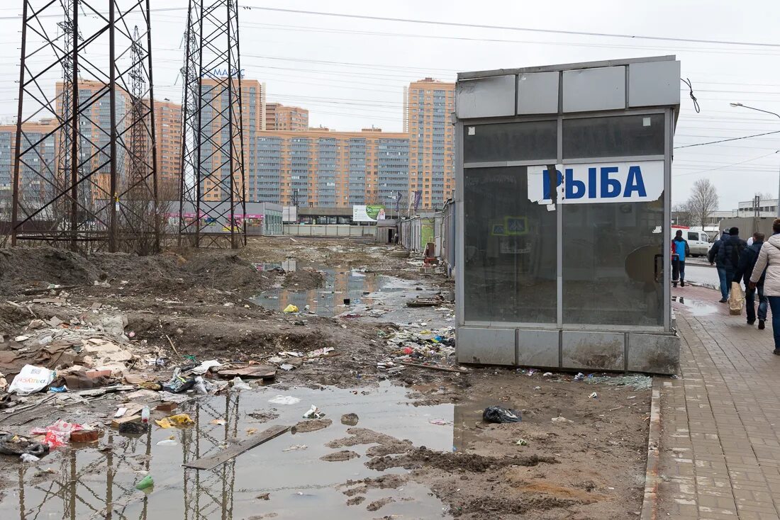 Новости девяткино. Мурино 2000 год. девяткино 2000 год. девяткино 1990 год. девяткино 2010 год.