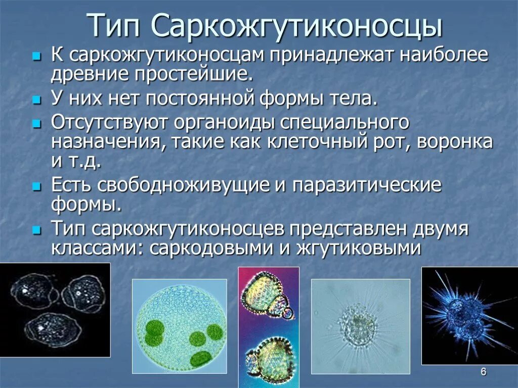 Что является простейшим элементом