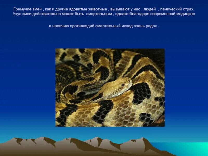 Волной гремучею значение