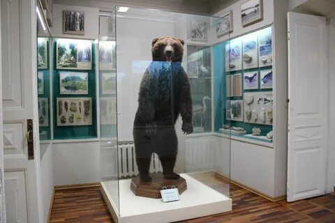 Вологодский музей