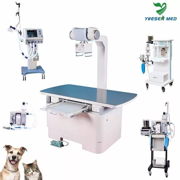 Пульсоксиметр ветеринарный ut100. Ветеринар оборудование использует. Приборы ветеринара для животных. Ветеринар с собакой. Ветеринарные аппараты.